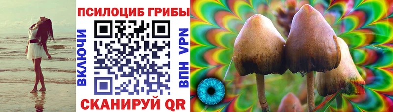 Галлюциногенные грибы мицелий Судак