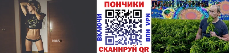 МАРИХУАНА Amnesia  купить закладку  hydra tor  Судак 